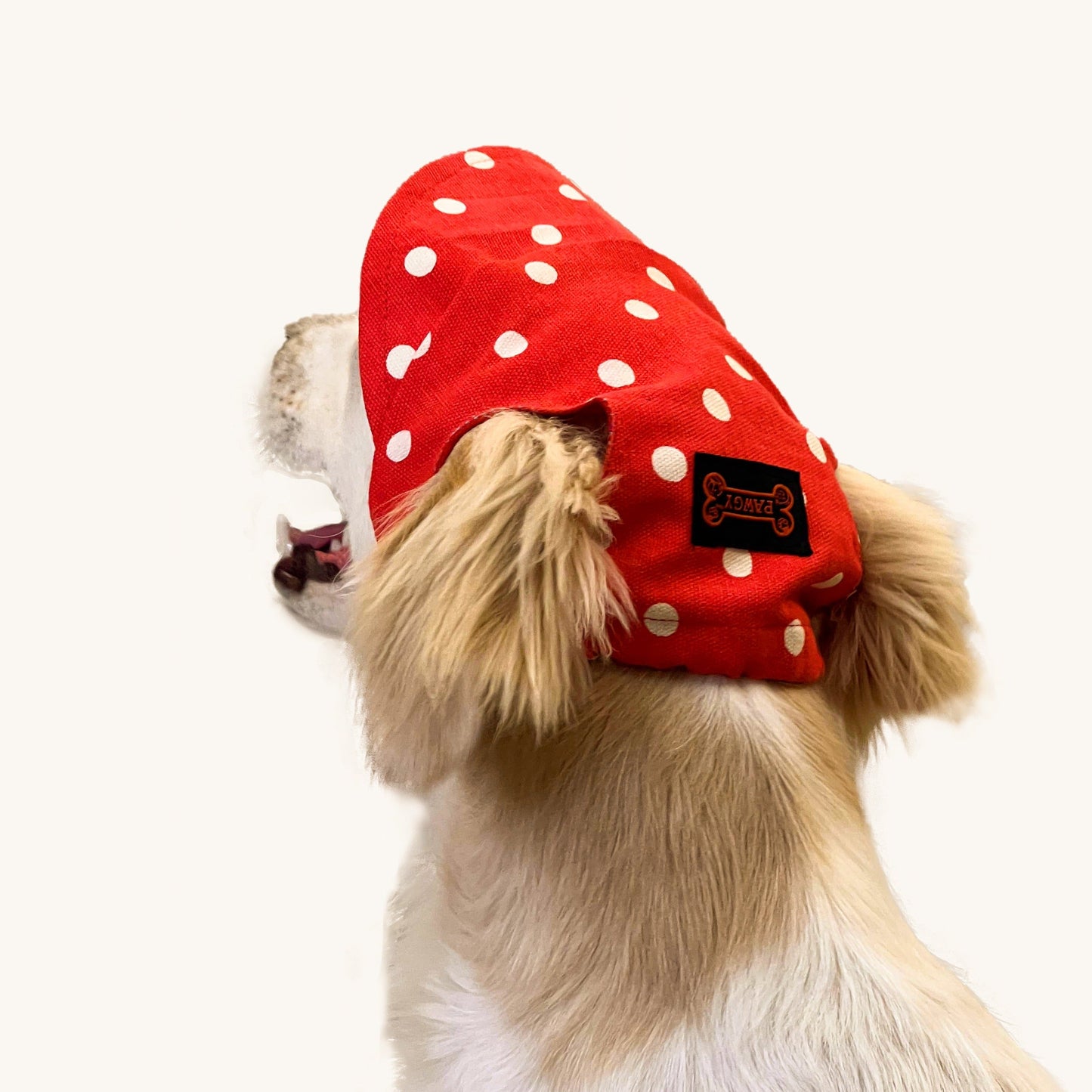 Dog Cap: Red Polka