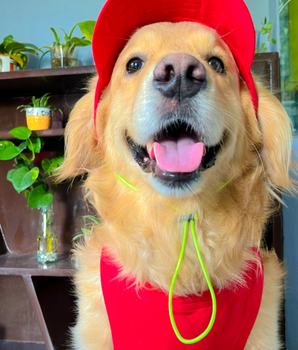 Red Baseball Cap