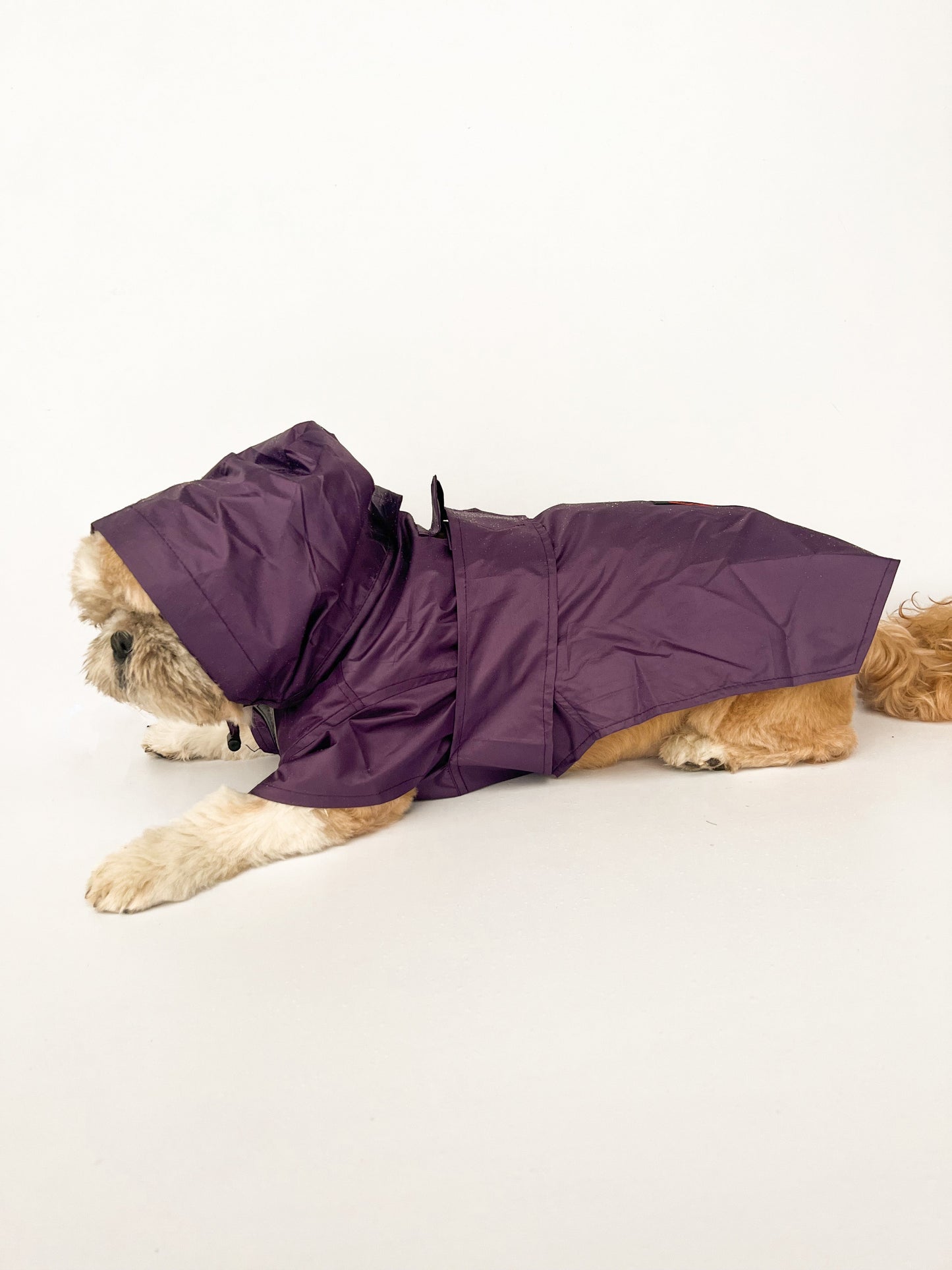 Raincoat: Purple
