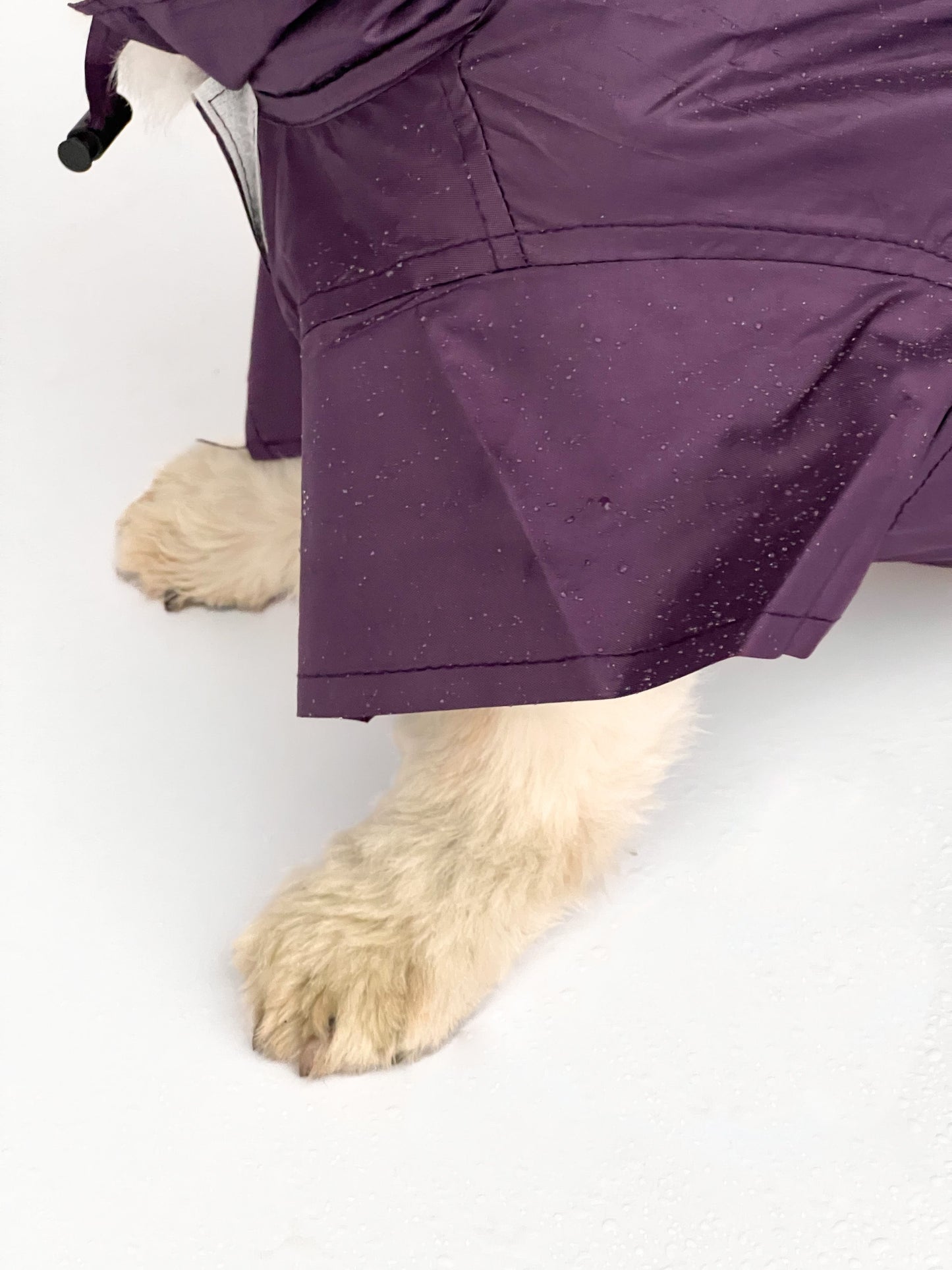 Raincoat: Purple
