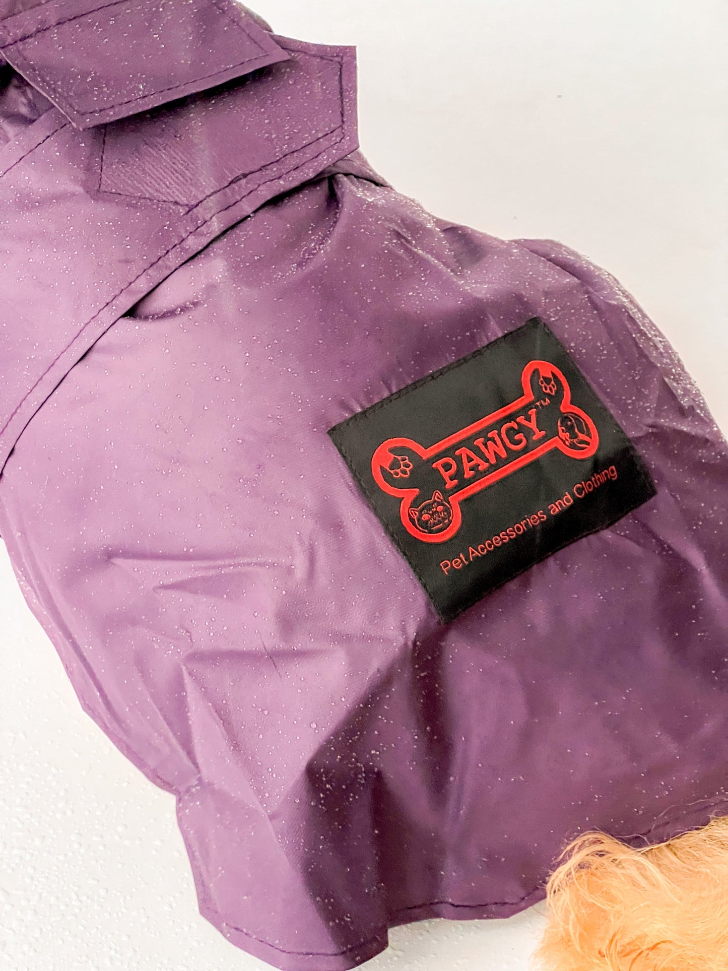 Raincoat: Purple