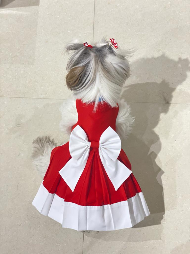 Christmas Frock