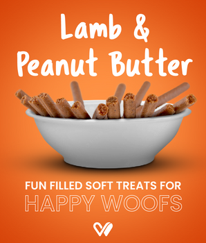 Barkstix Dog Treats for Training Adult & Puppies, 100g (Lamb & Peanut Butter)