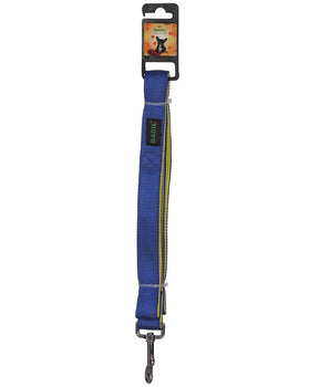 BASIL Padded Leash for Dogs & Puppies (Blue)