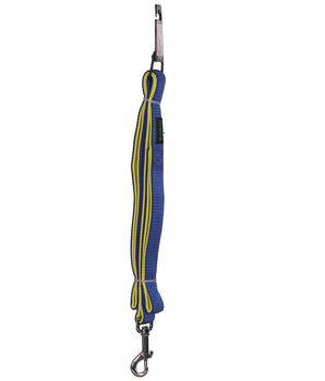 BASIL Padded Leash for Dogs & Puppies (Blue)