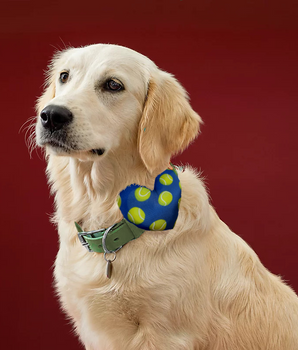 Tennis Balls Collar Insert