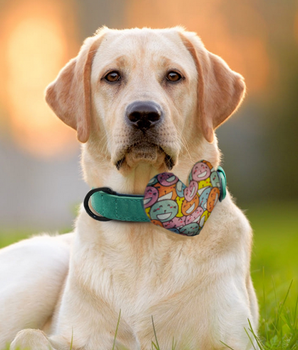 Cute Cats Collar Insert