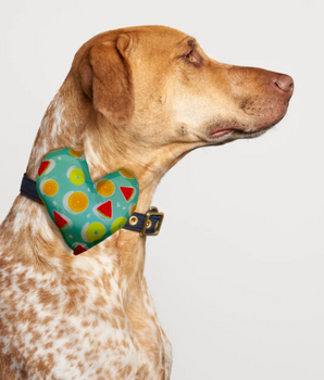 Fruity Collar Insert