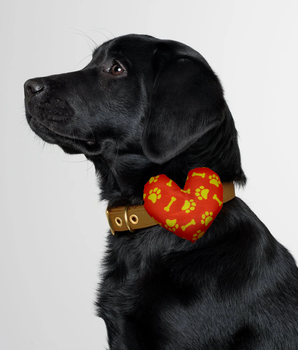 Paws & Bones Collar Insert