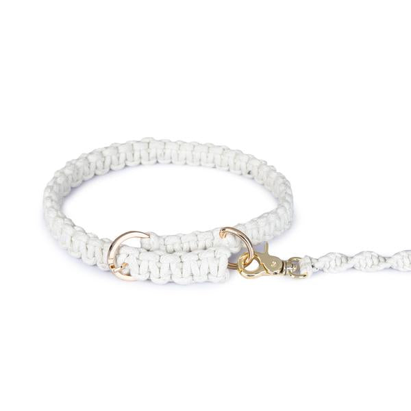macramé leash and collar for dogs designed by Barks & Wags