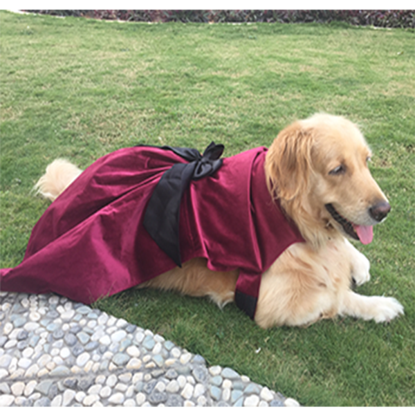maroon velvet dresses for dogs designed by Barks & Wags