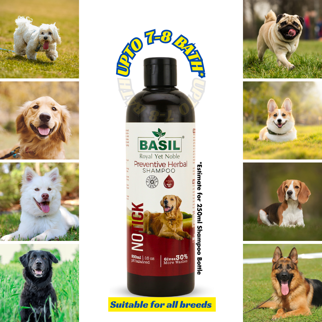 BASIL No Tick Preventive Herbal Shampoo for Dogs and Puppies