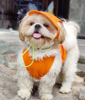 Orange Baseball Cap