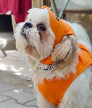 Orange Baseball Cap