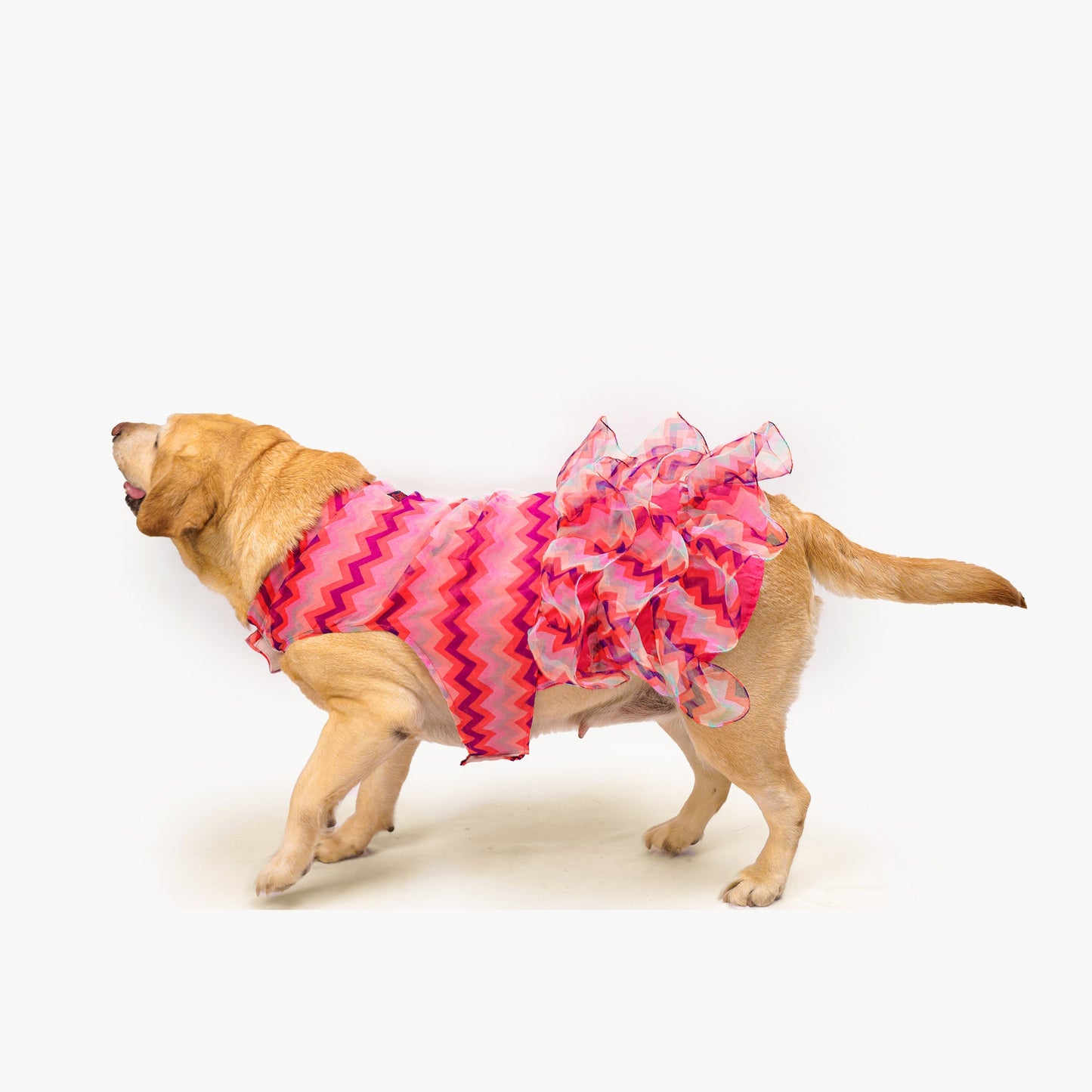 Frilly Dress Pink