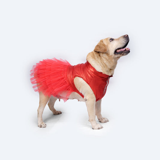 Tutu Dress: Red