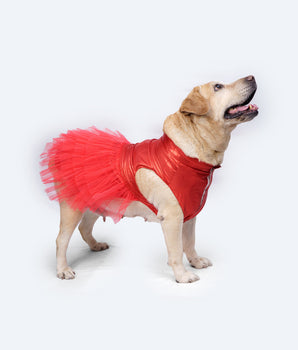 Tutu Dress: Red