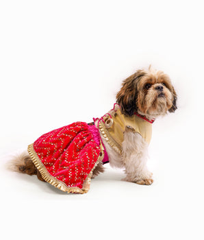 Lehenga Pink velvet and golden