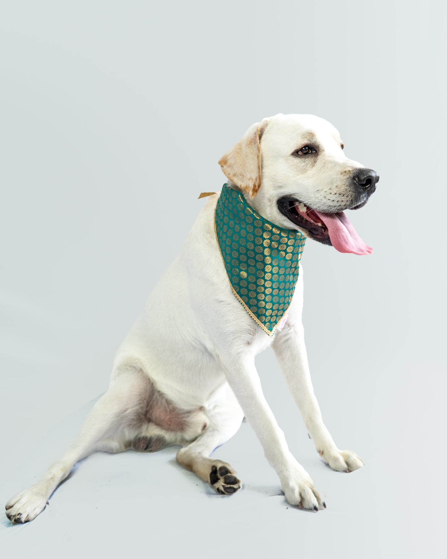 Occasion wear bandana Teal blue