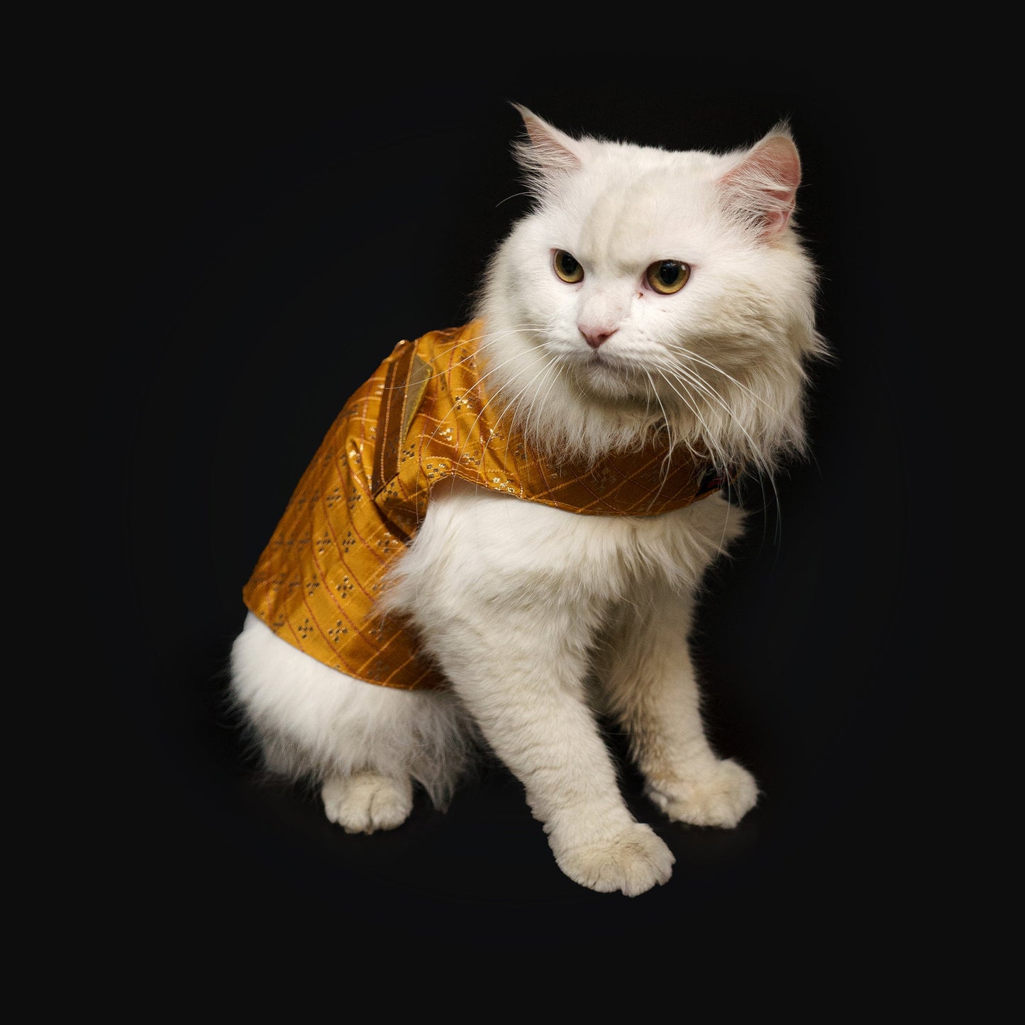 Strapy Sherwani Mustard