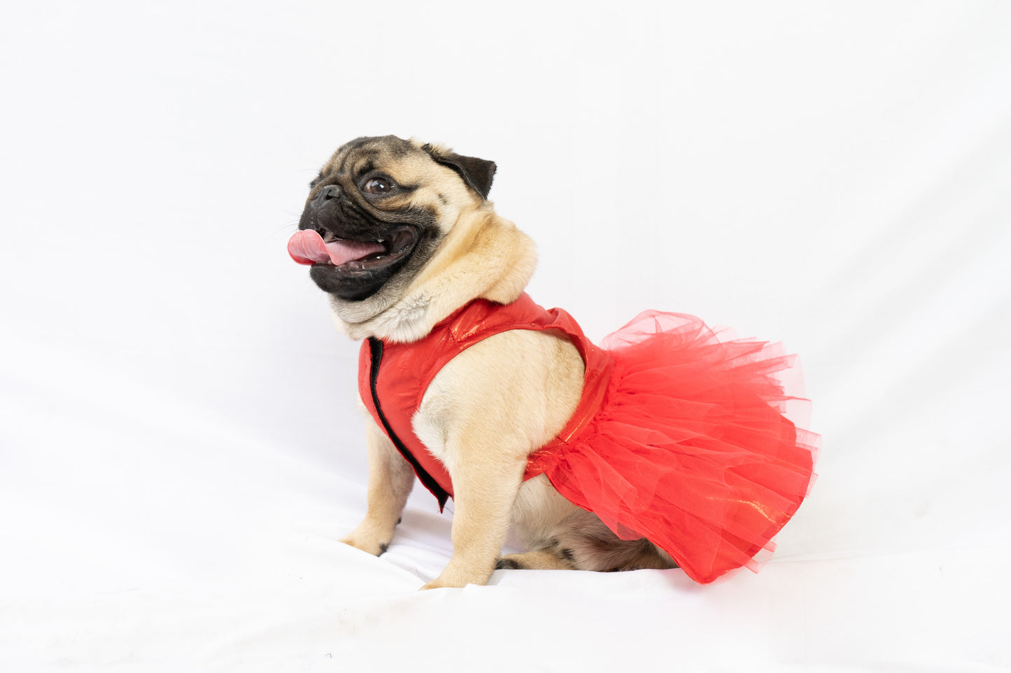 Tutu Dress: Red