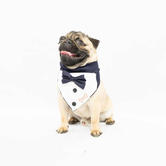 Tuxedo Bandana: Navy Blue