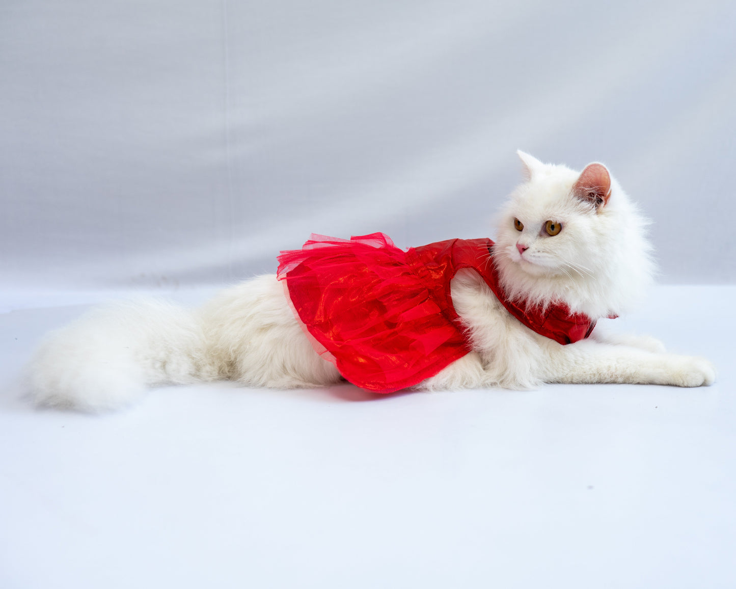 Tutu Dress: Red