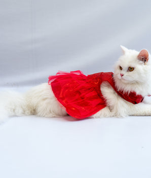 Tutu Dress: Red