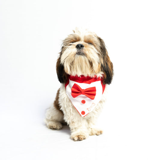 Tuxedo Bandana: Red