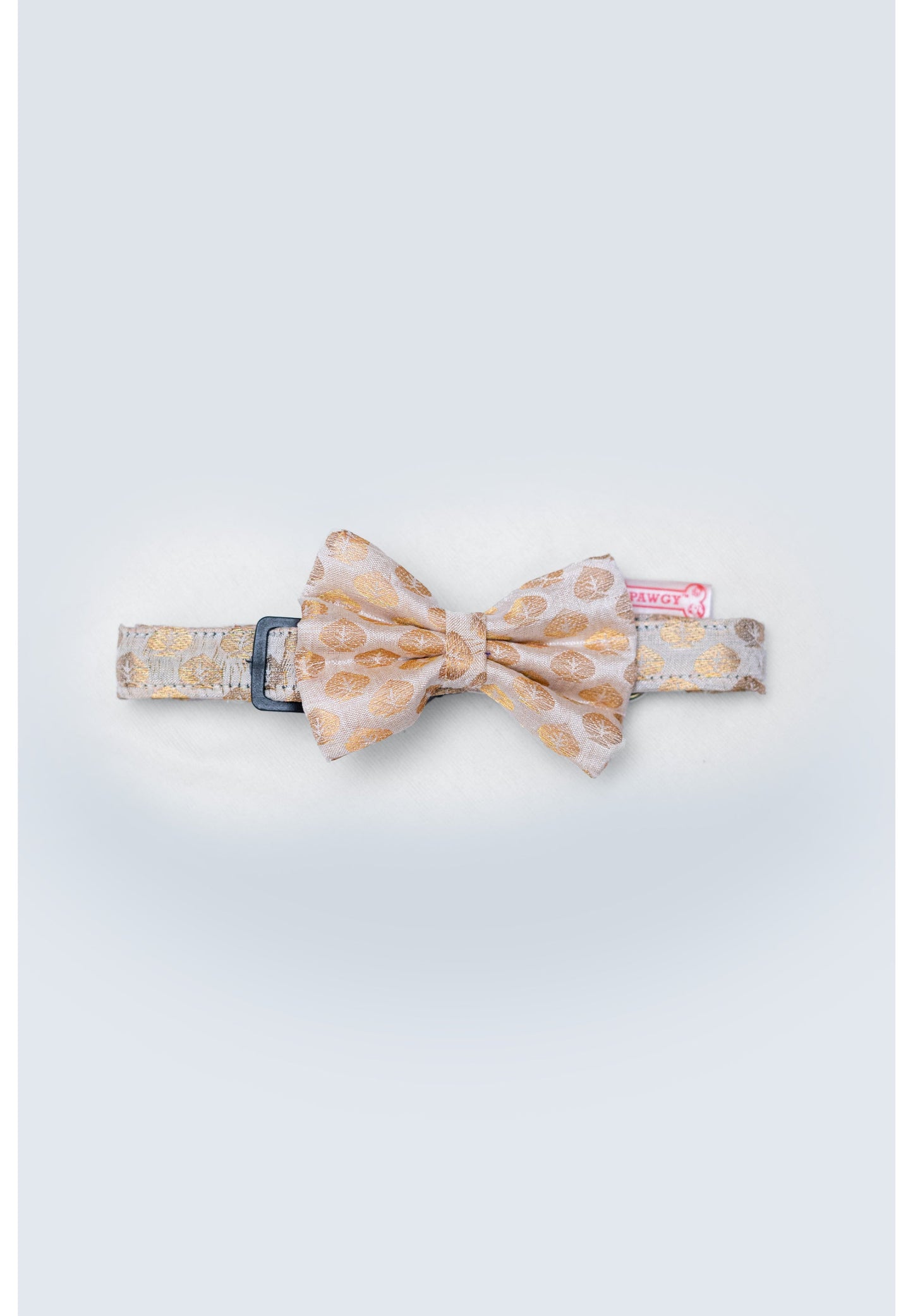 Occasion wear Bow Collar: White