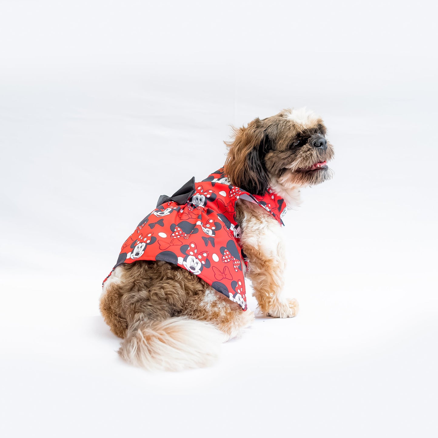 Mickey Red Dress