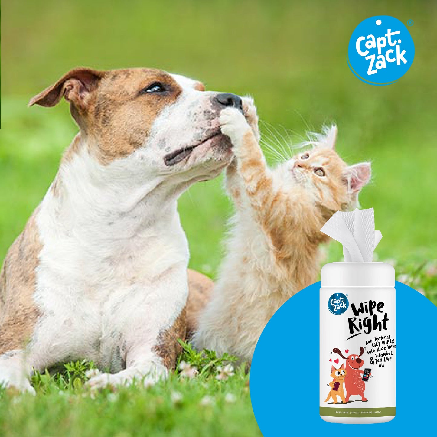 Wipe Right Anti-Bacterial Wet Wipes Pack of 2