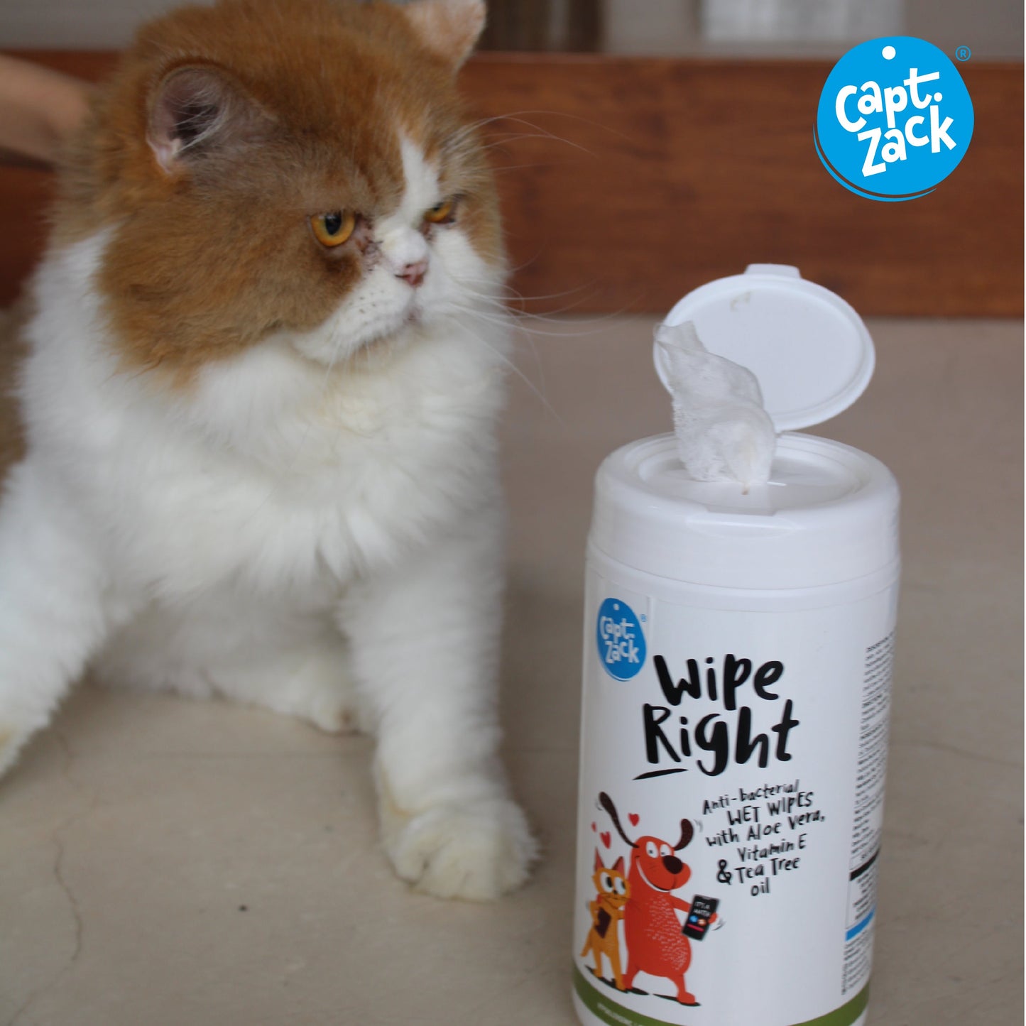 Wipe Right Anti-Bacterial Wet Wipes Pack of 2