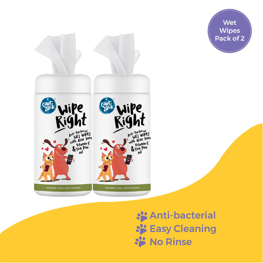 Wipe Right Anti-Bacterial Wet Wipes Pack of 2