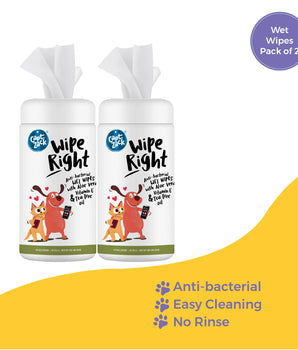 Wipe Right Anti-Bacterial Wet Wipes Pack of 2