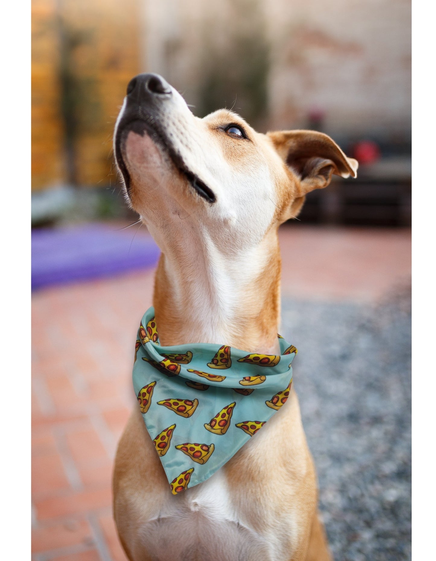 Pizza Party Bandana