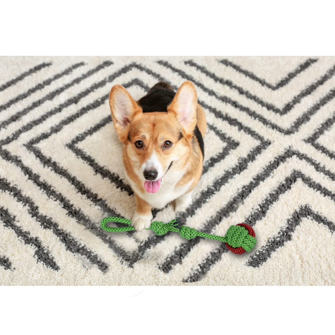 Ball Tug Rope Dog Toy Green - PawLaLand