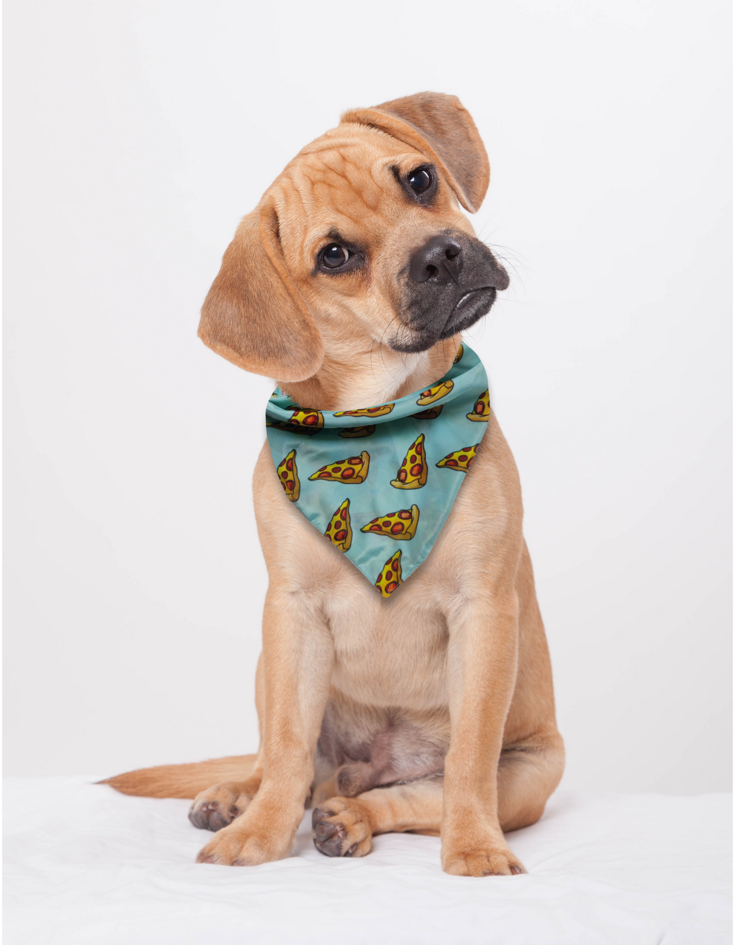 Pizza Party Bandana