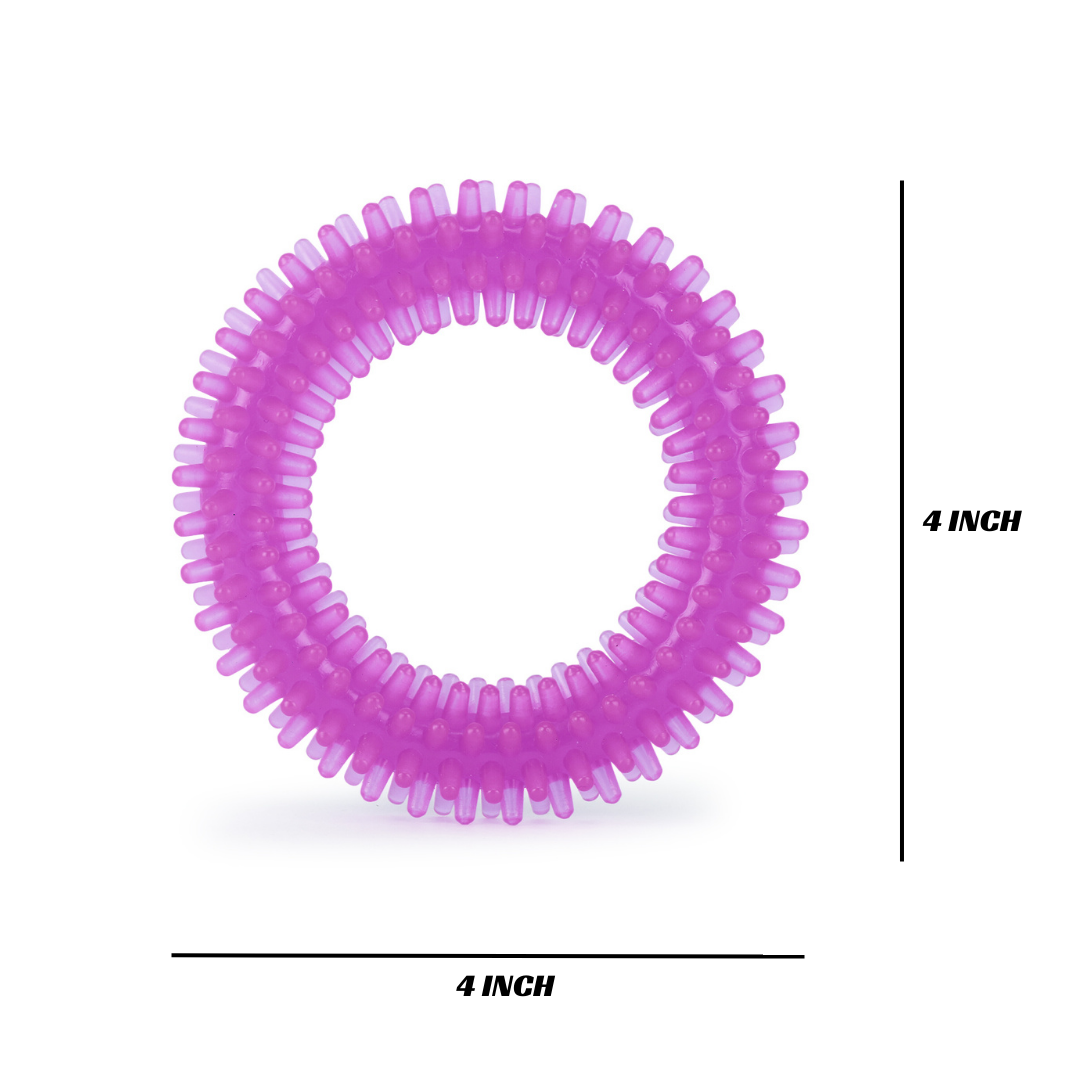 BASIL Dog Chew Toy, Spiked Ring (Purple)