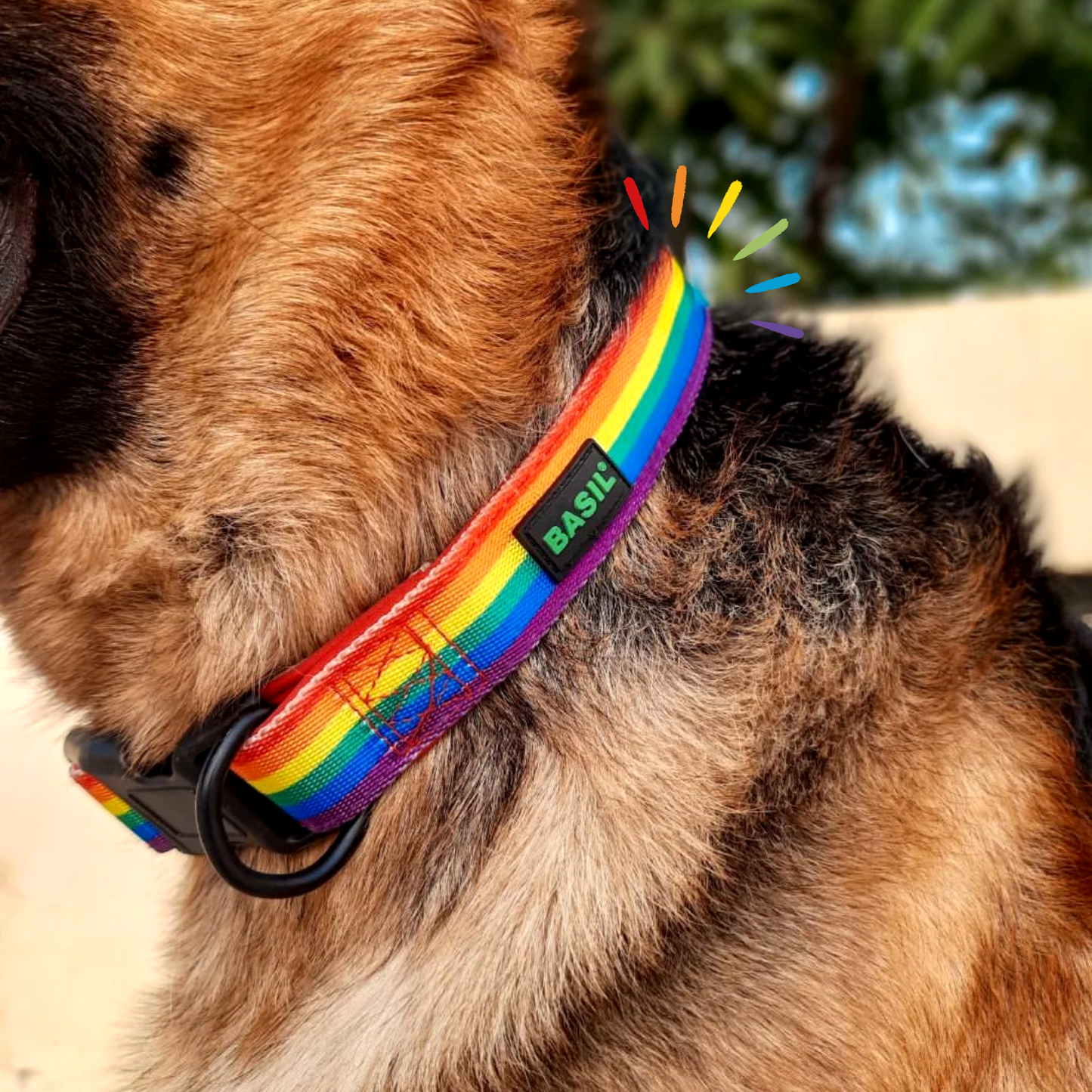 BASIL Pride Rainbow Padded Adjustable Collar for Dogs & Puppies