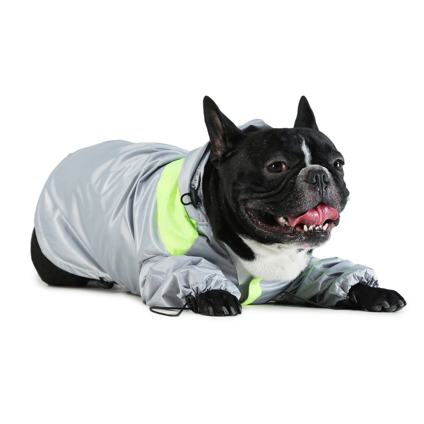 Raincoats For Dogs