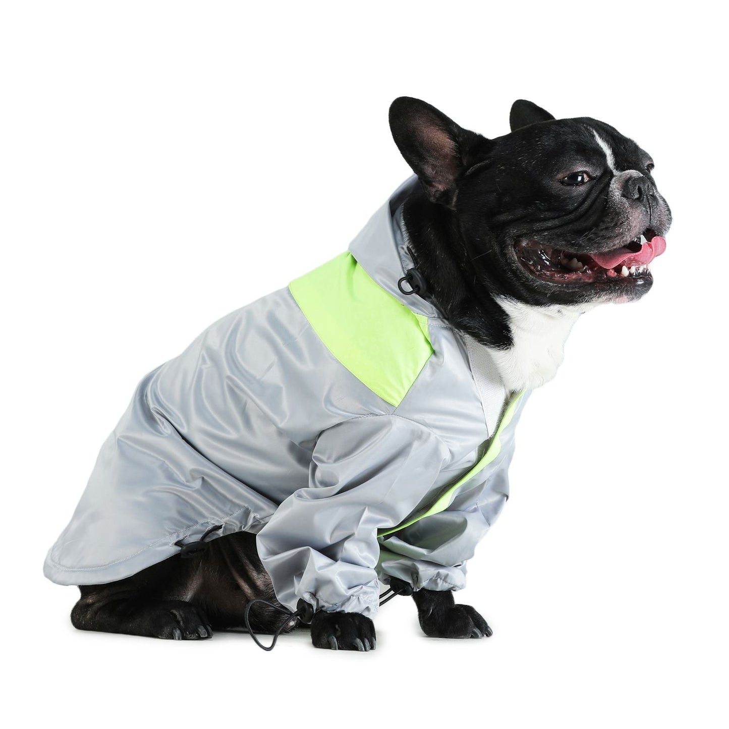 Raincoats For Dogs