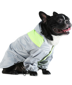 Raincoats For Dogs