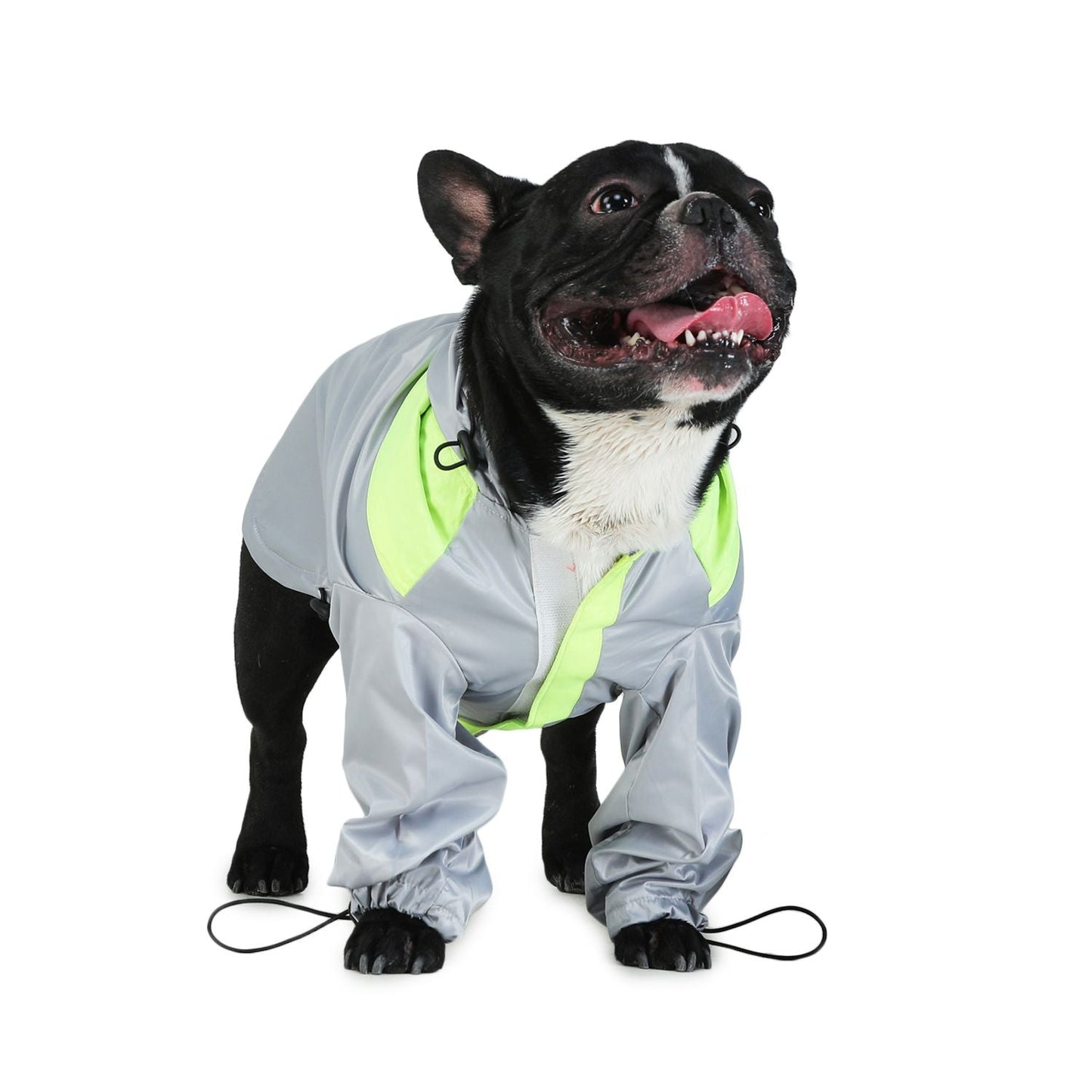 Raincoats For Dogs