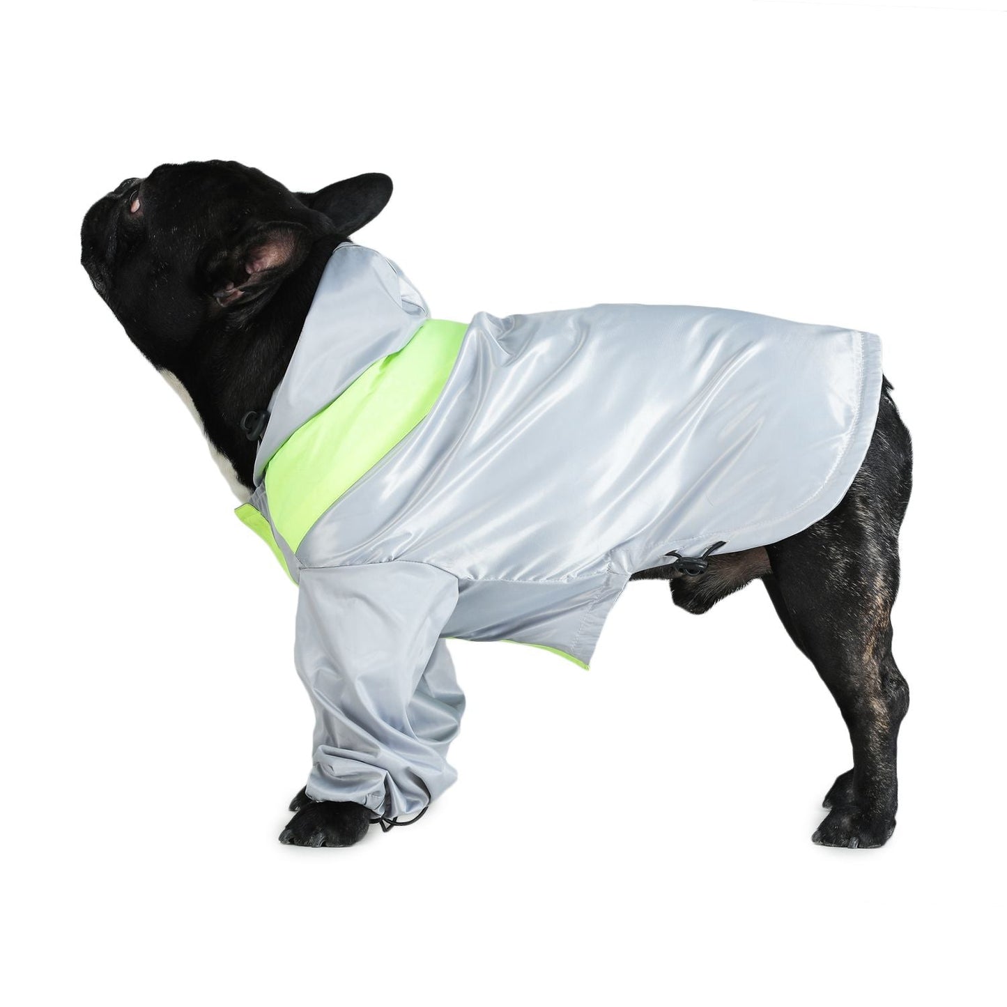 Raincoats For Dogs