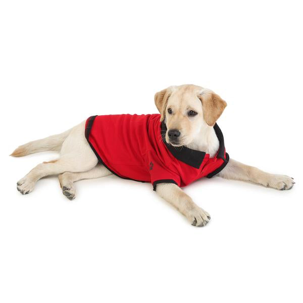 dog wearing red & black polo t-shirt from Barks & Wags