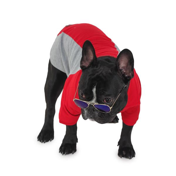 dog wearing red & grey polo t-shirt from Barks & Wags