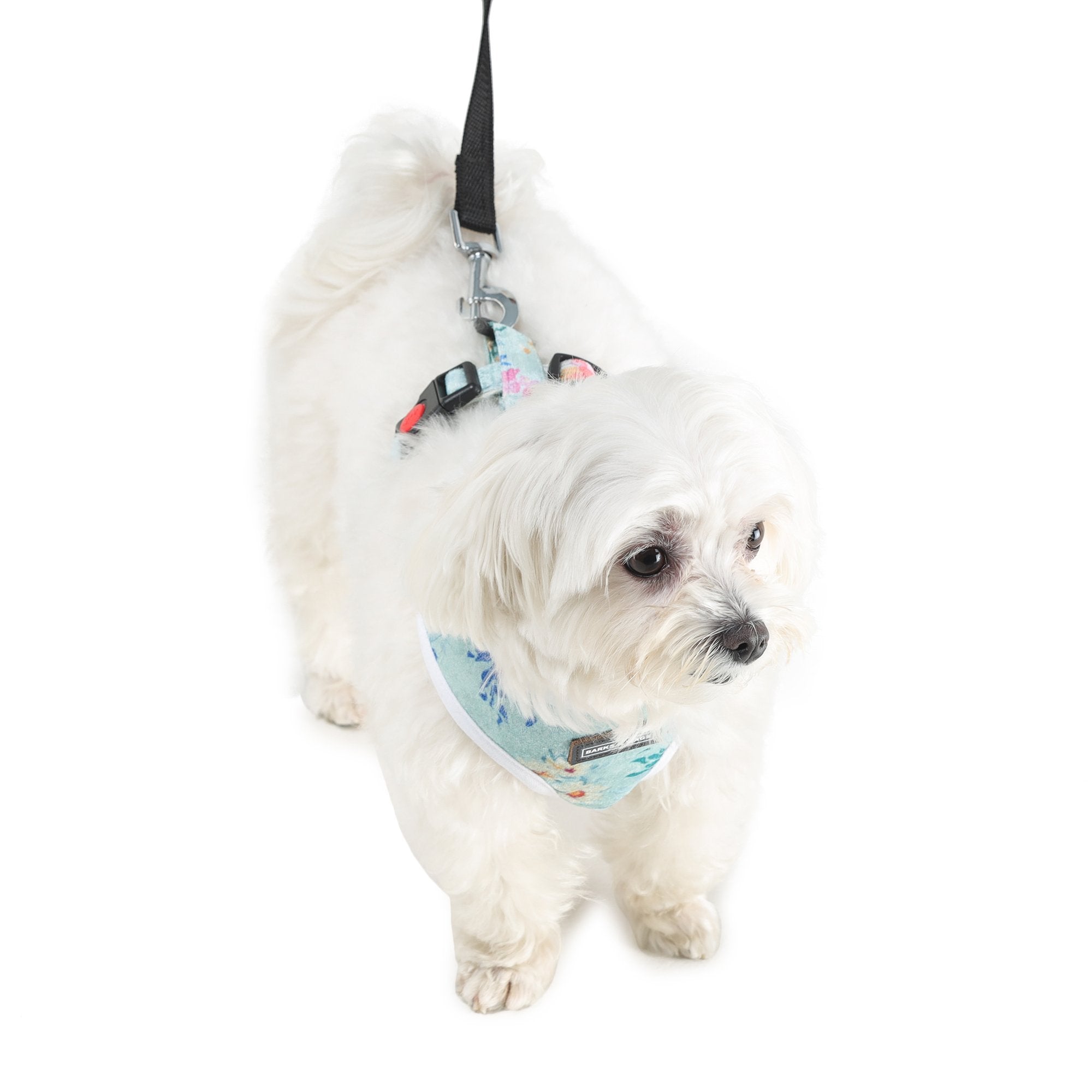 stylish Barks & Wags harness for dogs