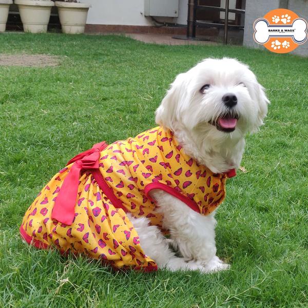 stylish dog wearing butterfly print dress by Barks & Wags
