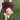 stylish dog wearing maroon velvet dress by Barks & Wags